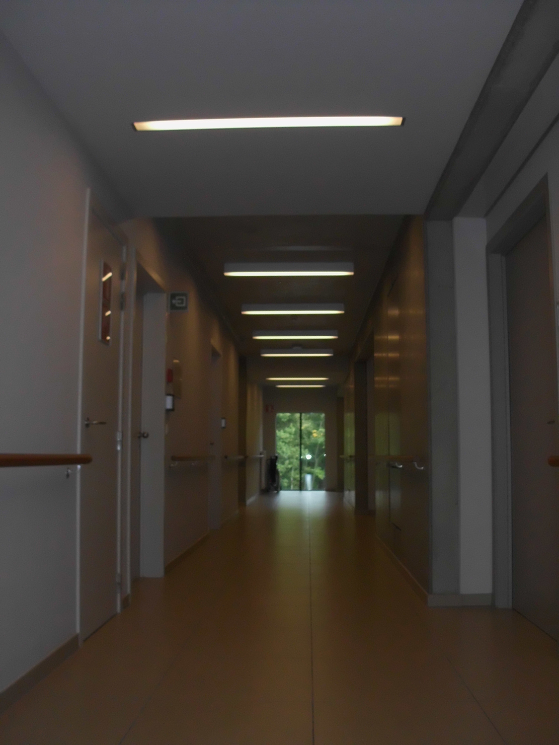 DSCI0563.jpg