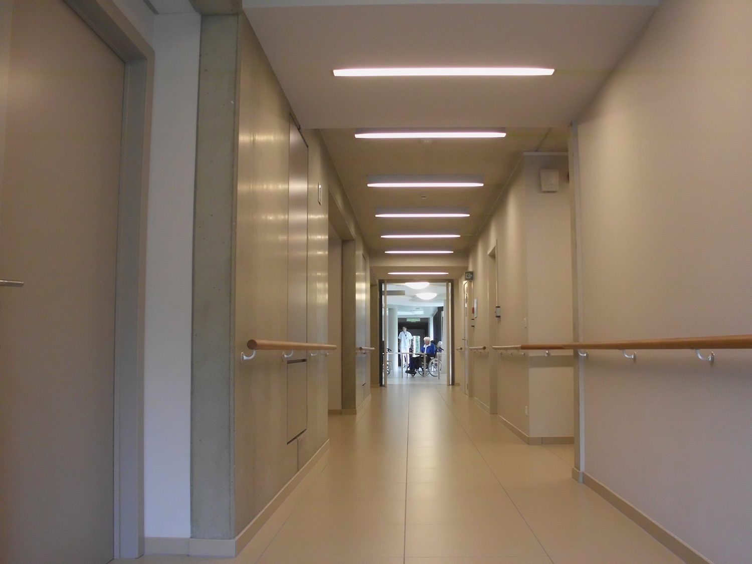 DSCI0567.jpg