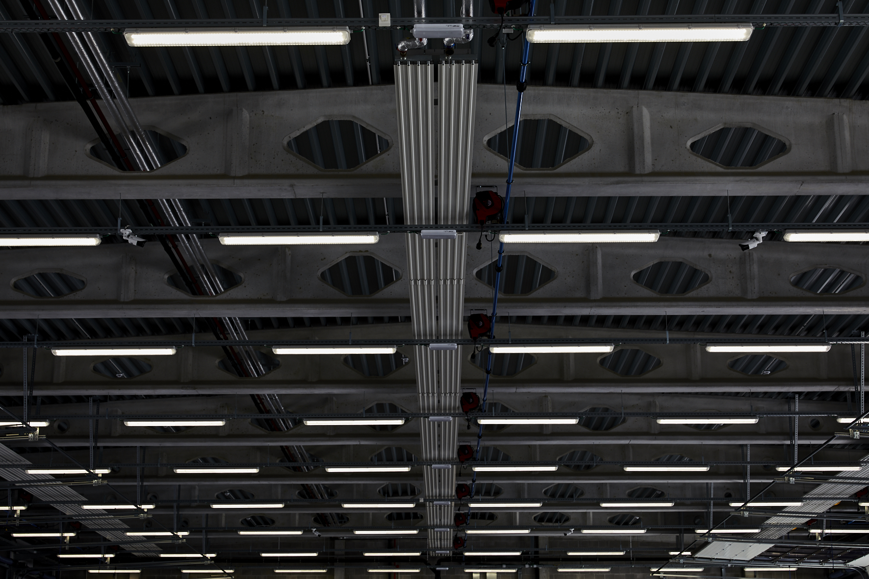 brandw-hasselt-017-1.jpg